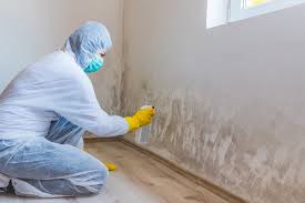 Best Basement Mold Removal  in Chatham, IL