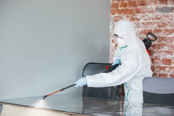 Best Industrial Mold Remediation  in Chatham, IL