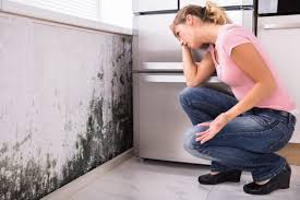 Best HVAC Mold Inspection and Cleaning  in Chatham, IL